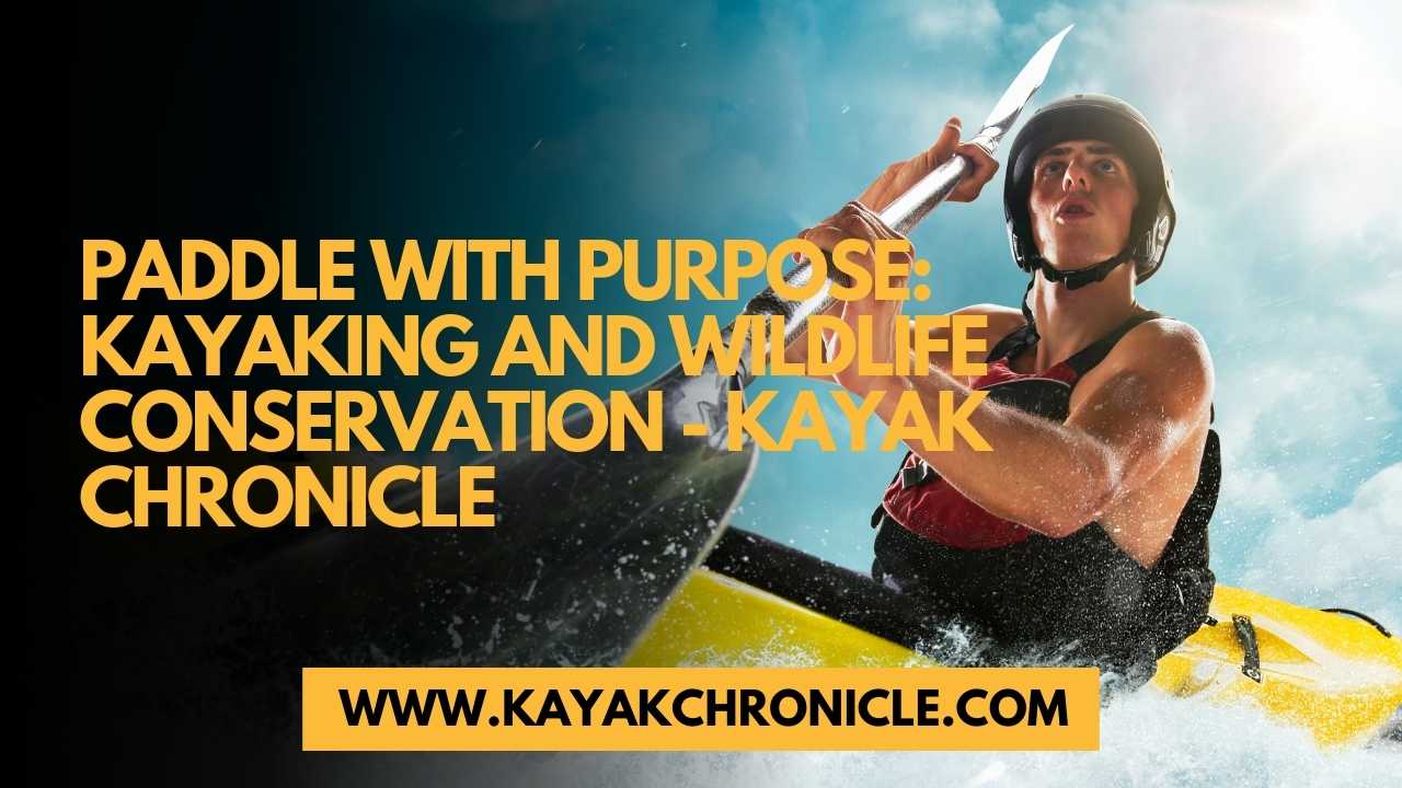 You are currently viewing Paddle with Purpose: Kayaking and Wildlife Conservation