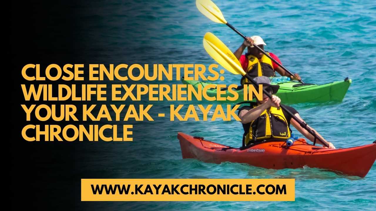 You are currently viewing Close Encounters: Wildlife Experiences in Your Kayak