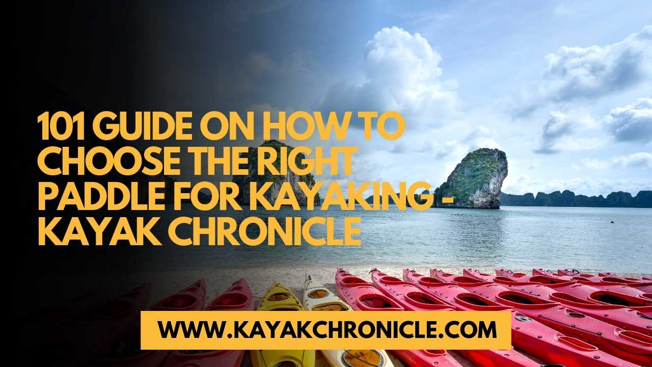 You are currently viewing 101 Guide on how to choose the right paddle for kayaking