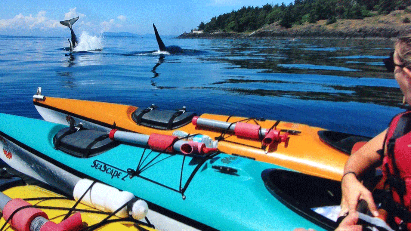 You are currently viewing Sea Kayaking Adventures: Paddle into the Wild Blue